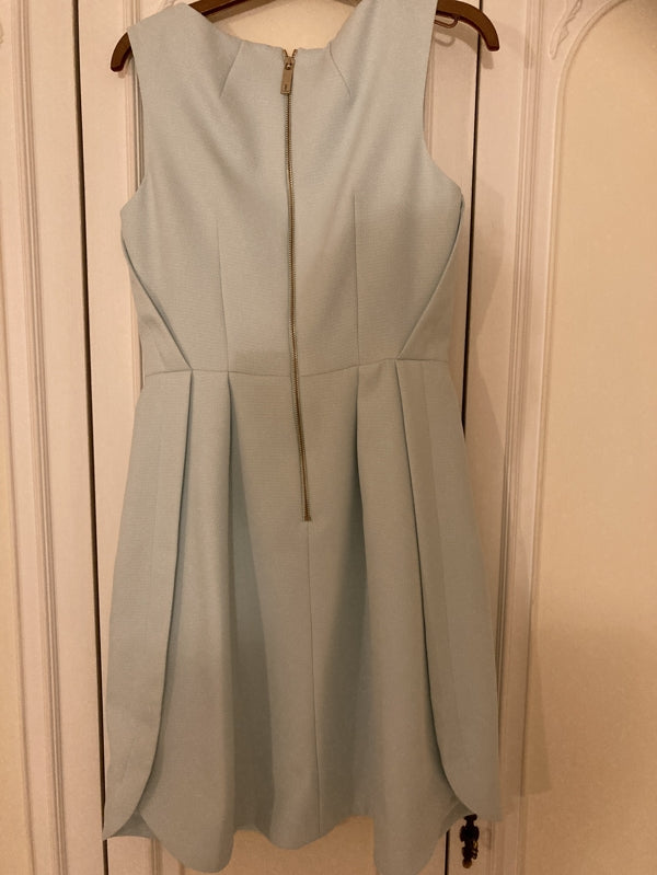 Preloved Ted baker mint green shift dress