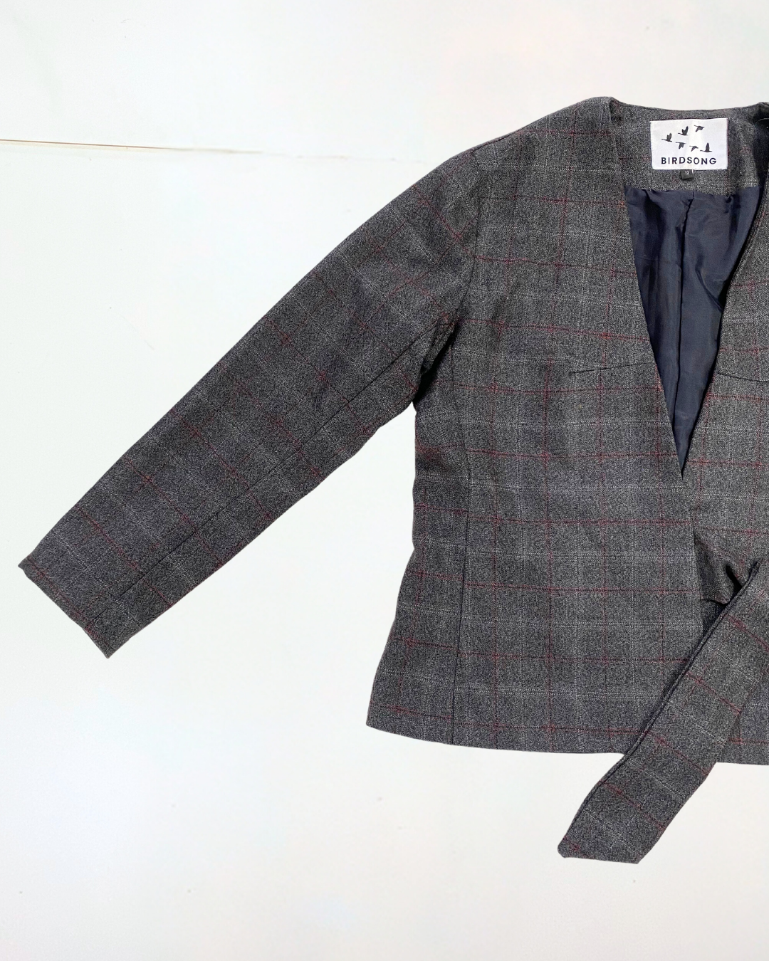 Birdsong Suit Size 12